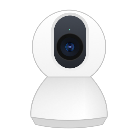 IP Camera